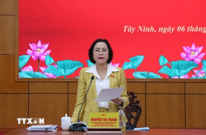 Phó Chủ tịch Quốc hội Nguyễn Thị Thanh phát biểu tại buổi làm việc. (Ảnh: Bùi Giang/TTXVN)