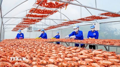 Các sản phẩm từ tôm Cà Mau góp phần vào mục tiêu tăng trưởng hai con số mà Cà Mau đang quyết tâm hướng đến. (Ảnh: Huỳnh Anh/TTXVN)