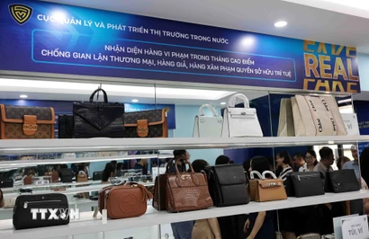 Hàng giả, hàng xâm phạm quyền sở hữu trí tuệ được trưng bày tại Bộ Công Thương. (Ảnh: Trần Việt/TTXVN)