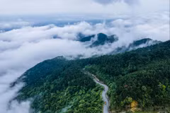 Vườn quốc gia Tam Đảo nhìn từ trên cao. (Nguồn: Sở Văn hóa Thể thao và Du lịch tỉnh Vĩnh Phúc)