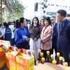 Triển lãm sẽ diễn ra từ ngày 26/12 đến ngày 28/12, quy tụ các sản phẩm tiêu biểu của thanh niên nông thôn cả nước. (Ảnh: PV/Vietnam+)