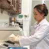 Việc được cấp học bổng sẽ giúp các sinh viên, học viên giảm áp lực tài chính, chuyên tâm hơn cho học tập và nghiên cứu. (Ảnh: Phạm Mai/Vietnam+)