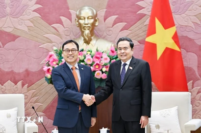 Chủ tịch Quốc hội Trần Thanh Mẫn tiếp Đại sứ Hàn Quốc tại Việt Nam Choi Young Sam. (Ảnh: Doãn Tấn/TTXVN)