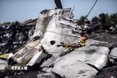 Hiện trường vụ rơi máy bay MH17 gần làng Hrabove, khu vực Donetsk (Ukraine), ngày 26/7/2014. (Ảnh: AFP/ TTXVN)