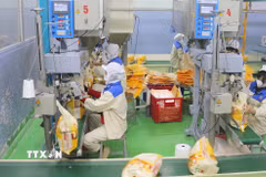 Đóng gói gạo xuất khẩu tại nhà máy của Công ty Lương thực Thạo Sơn. (Ảnh: Công Mạo/TTXVN)