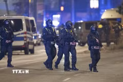 Cảnh sát Đức. (Ảnh: AFP/TTXVN))