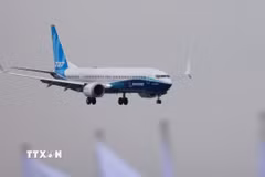Máy bay của hãng Boeing. (Ảnh: THX/TTXVN)