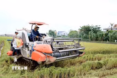 Việt Nam thúc đẩy hợp tác nông nghiệp với tỉnh Formosa của Argentina