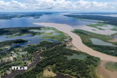 Sông Amazon tại Manaus, bang Amazonas (Brazil). (Ảnh: THX/TTXVN)