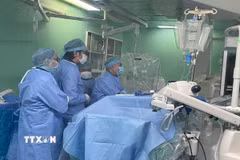 Êkíp liên chuyên khoa Bệnh viện Đa khoa Trung ương Cần Thơ tiến hành can thiệp nội mạch cho một bệnh nhân. (Ảnh minh họa: TTXVN phát)