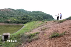 Ảnh minh họa. (Ảnh: TTXVN)
