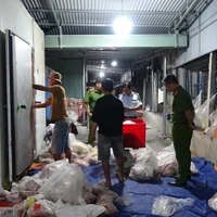 Sản phẩm động vật đông lạnh không có hóa đơn, chứng từ chứng minh nguồn gốc xuất xứ hợp pháp được lực lượng chức năng phát hiện. (Ảnh: TTXVN phát)