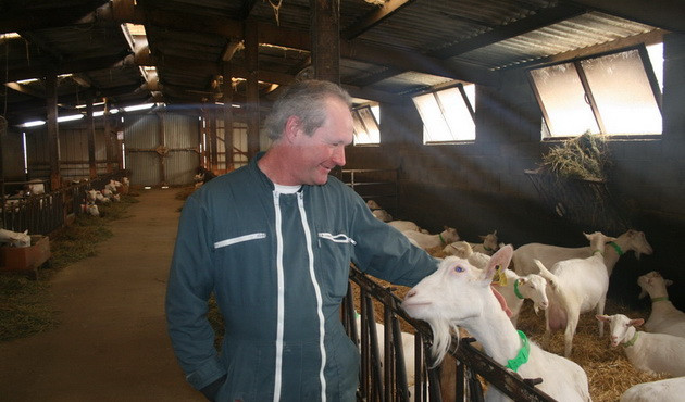 Vụ sữa dê Danlait: Mục sở thị dây chuyền tại Pháp ảnh 1