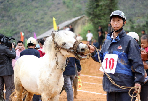 Độc đáo cuộc đua ngựa thồ trên Cao nguyên đá ảnh 3