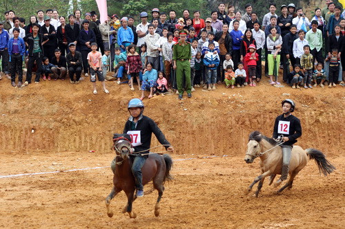 Độc đáo cuộc đua ngựa thồ trên Cao nguyên đá ảnh 2