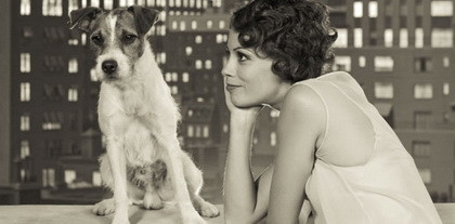 Hai chú chó tranh giải Tiền Oscar "Golden Collar" ảnh 1