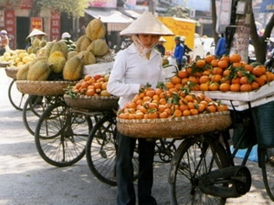 50% số người thất nghiệp tại Việt Nam là thanh niên ảnh 1