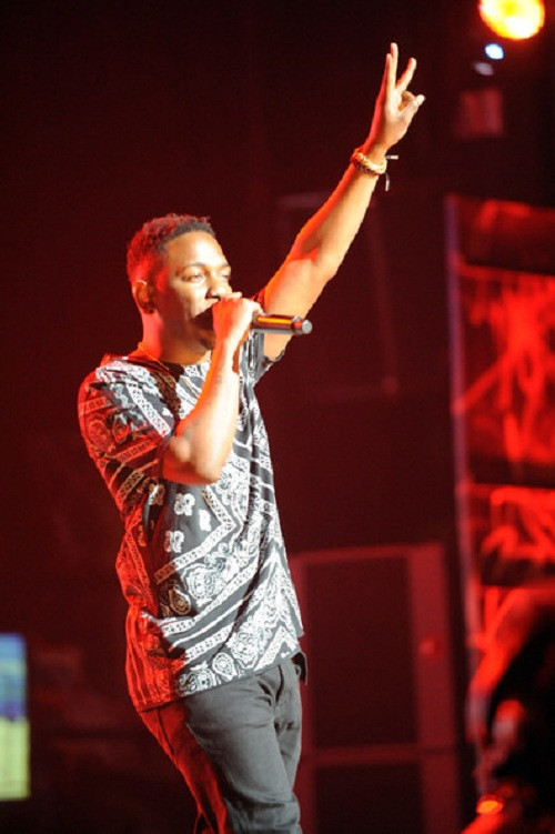 2012 - Năm đáng nhớ của những ngôi sao mới nổi ảnh 12