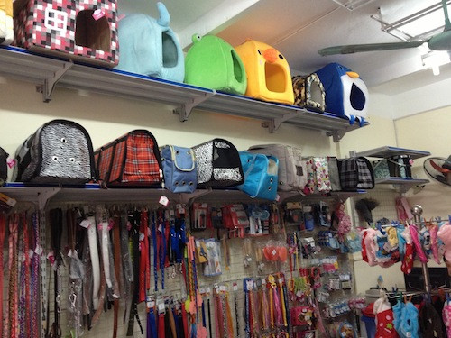 "Ăn theo" thời tiết, quần áo ấm thú cưng lên ngôi ảnh 2