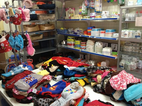 "Ăn theo" thời tiết, quần áo ấm thú cưng lên ngôi ảnh 1