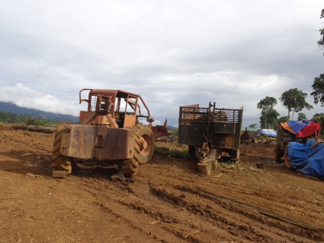 Cận cảnh “xẻ thịt” rừng trồng cao su tại Tây Nguyên ảnh 5