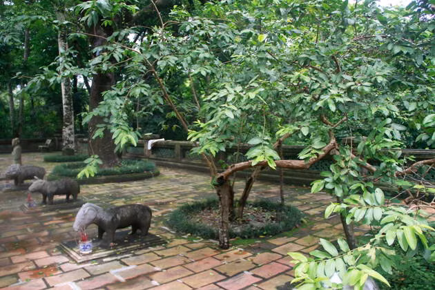 Đến xứ Thanh khám phá các câu chuyện “huyền bí” ảnh 1