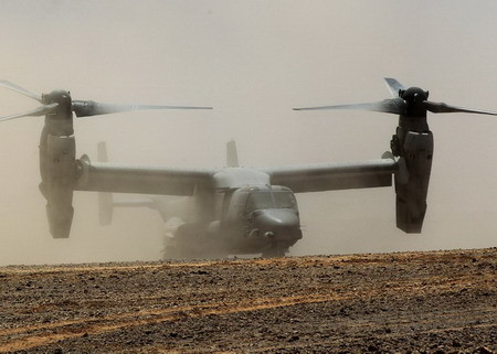 Mỹ khoe vũ khí khủng trong cuộc tập trận chung ảnh 1