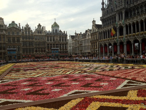 Bỉ: Tấm thảm khổng lồ làm từ 600.000 bông hoa ảnh 1