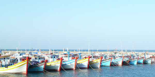  Tết đến sớm trên trạm mắt thần 575 đảo Phú Quý ảnh 1