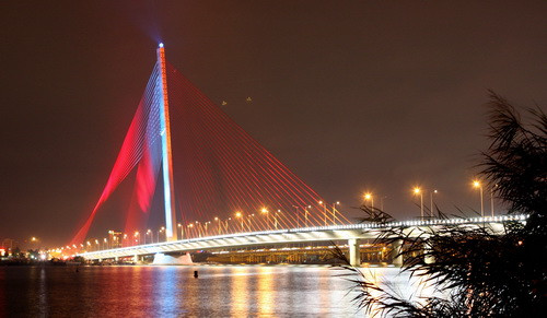 Đà Nẵng - thành phố của những cây cầu hội nhập ảnh 2