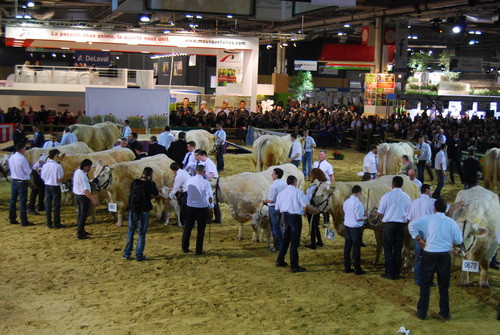 Hội chợ nông nghiệp Paris và truyền thống châu Âu ảnh 2