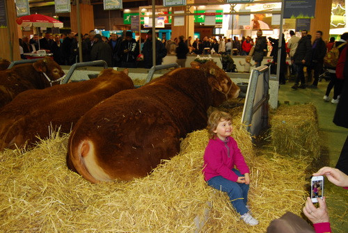 Hội chợ nông nghiệp Paris và truyền thống châu Âu ảnh 1