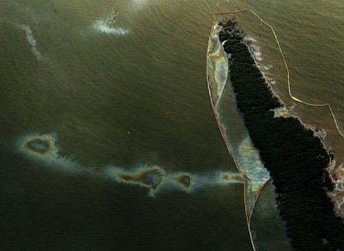 Hãng dầu khí BP bị cấm làm ăn với chính phủ Mỹ ảnh 1