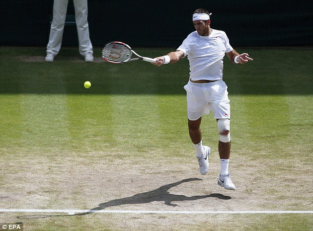 Djokovic "đại chiến" Del Potro ở bán kết Wimbledon ảnh 1