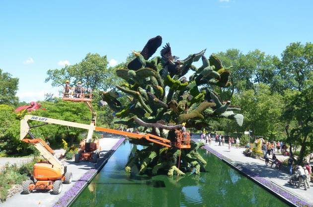 Hơn 3 triệu cây hoa-lá trong cuộc thi làm vườn 2013 ảnh 1