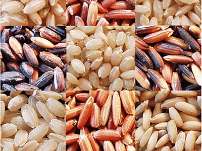 Những thực phẩm "khắc tinh" của bệnh tiểu đường ảnh 5