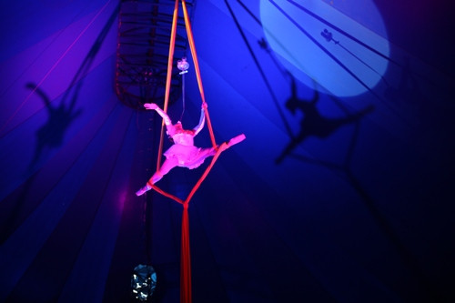 Trà My: "Nghề xiếc bạc lắm nhưng mấy ai bỏ được" ảnh 1