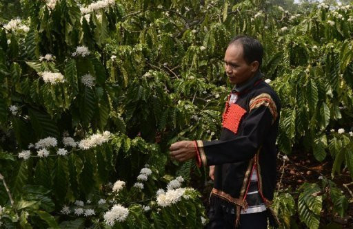 Ông Đặng Lê Nguyên Vũ và giấc mơ chinh phục thế giới càphê ảnh 2