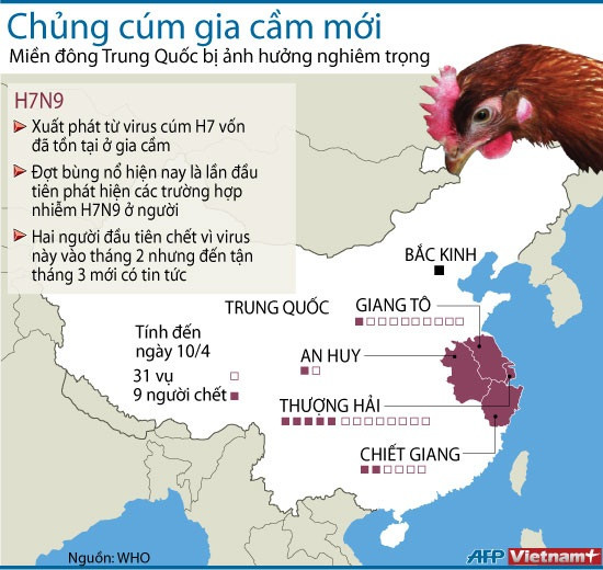 Ảnh chim chết và bài học về dịch bệnh ở Trung Quốc ảnh 2