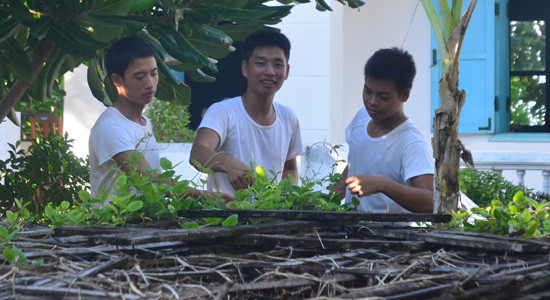 Có một Trường Sa xao xác tiếng gà trưa ở ngực đảo ảnh 2