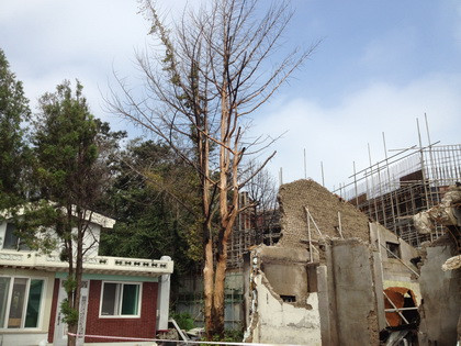 Yeonpyeong: 2 năm sau vụ pháo kích của Triều Tiên ảnh 3