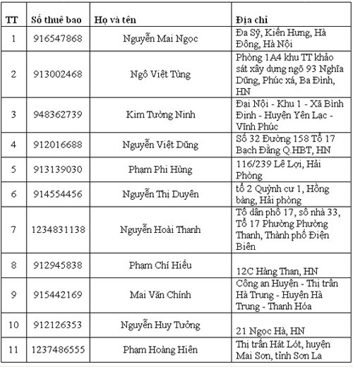 VinaPhone tri ân khách hàng trong Tuần lễ VNPT ảnh 1