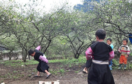 Mộc Châu mùa hoa mận trắng tinh giữa núi rừng ảnh 2