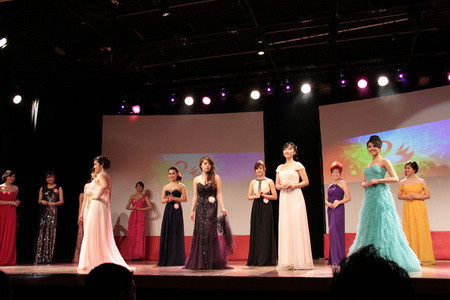 Hội sinh viên VN tại Pháp tổ chức chào xuân 2013 ảnh 2