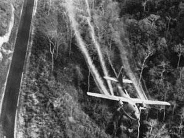 Vì nạn nhân chất da cam, cuộc chiến không đơn độc ảnh 1