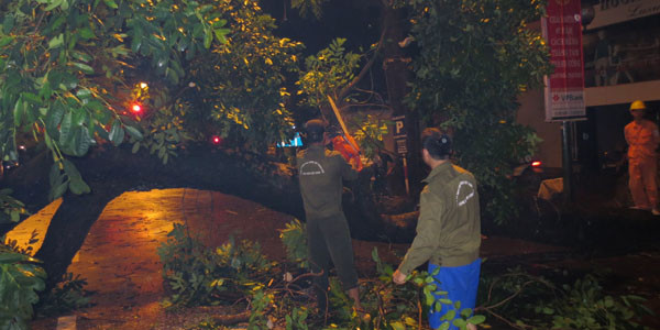 Hà Nội ngổn ngang cây đổ sau mưa lốc chiều 17/8 ảnh 7 Hà Nội ngổn ngang cây đổ sau mưa lốc chiều 17/8 ảnh 7