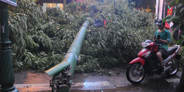 Hà Nội ngổn ngang cây đổ sau mưa lốc chiều 17/8 ảnh 2 Hà Nội ngổn ngang cây đổ sau mưa lốc chiều 17/8 ảnh 2