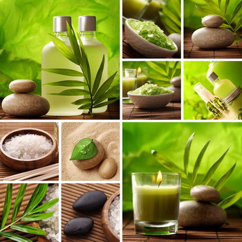 Phục hồi độ khỏe đẹp của da với các loại tinh dầu ảnh 3