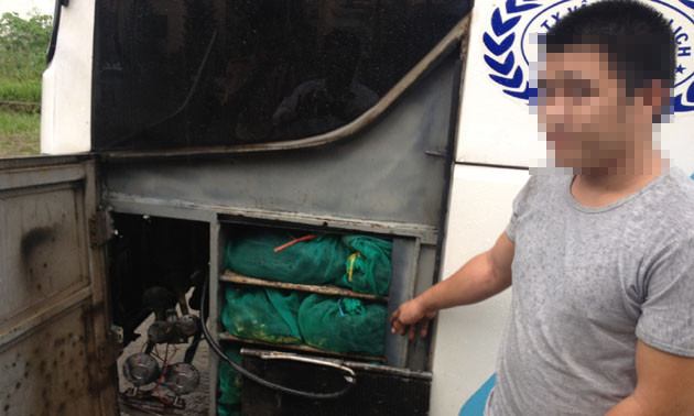 Lật tẩy khoang chứa bí mật giấu rắn trên xe khách ảnh 1