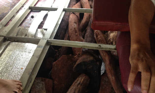 Lật tẩy khoang chứa bí mật giấu rắn trên xe khách ảnh 2